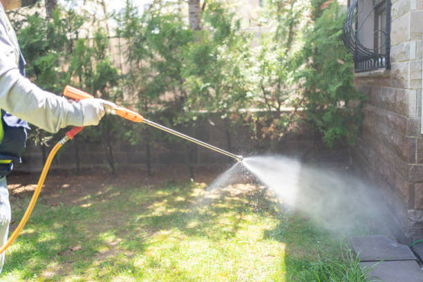 Best Bird Control  in Clyde, NC