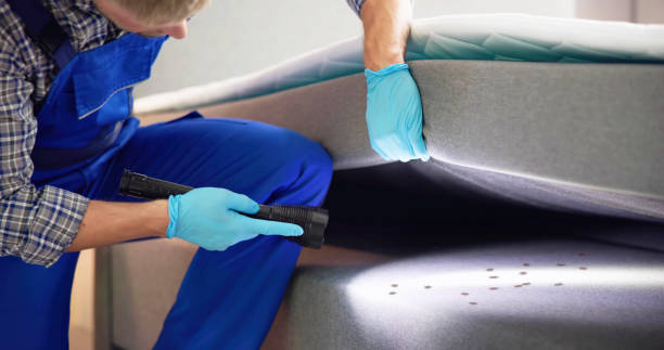 Best Best Pest Control Companies  in Clyde, NC