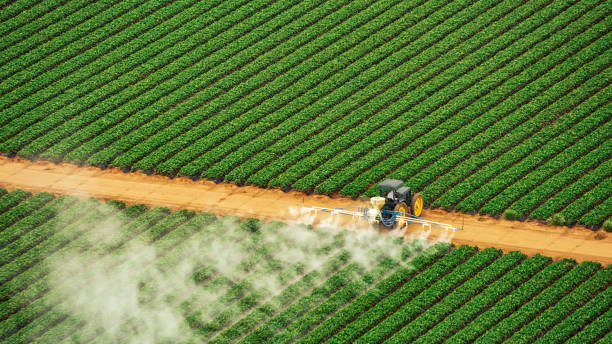 Best Commercial Pest Control Services  in Clyde, NC
