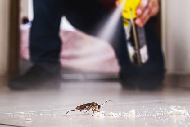 Clyde, NC Pest Control Company