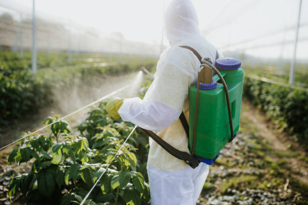 Best Bed Bug Extermination  in Clyde, NC